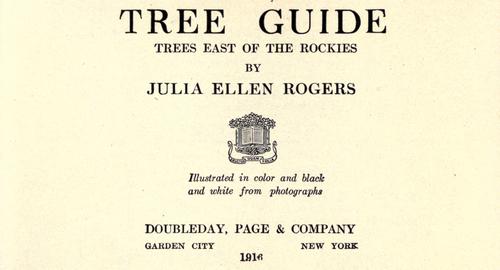 Cover for Tree guide