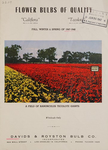 Cover for Flower bulbs of quality, "Califlora", "Tecolote"