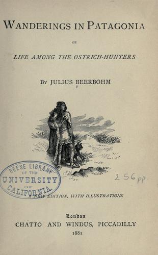 Cover for Wanderings in Patagonia
