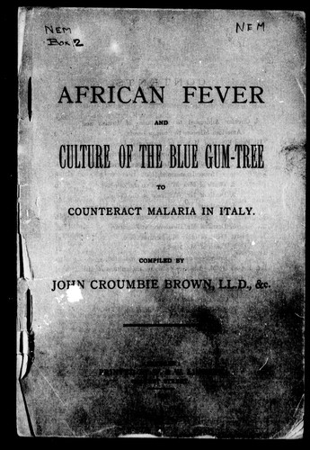 Cover for African fever and culture of the blue gum-tree to counteract malaria in Italy