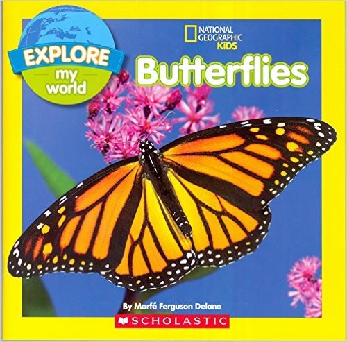 Cover for Explore My World: Butterflies
