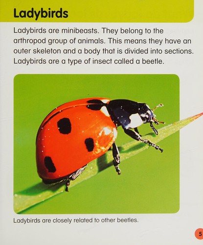 Cover for Ladybirds