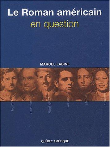 Cover for Le roman américain en question