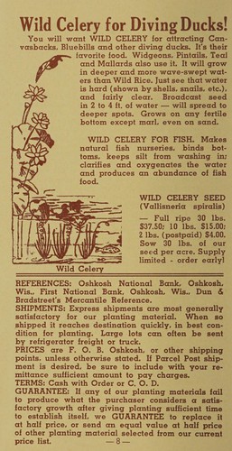 Cover for Fall plantings to attract wild ducks, fish, furs and folks