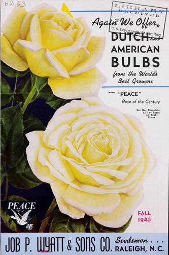Cover for Again we offer Dutch American bulbs from the world's best growers