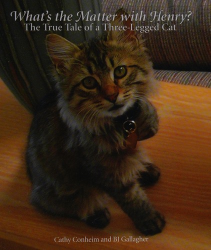 Cover for What's the Matter with Henry? The True Tale of a Three-legged Cat