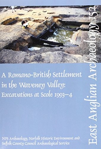Cover for A Roman Settlement in the Waveney Valley