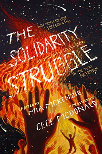 Cover for The Solidarity Struggle