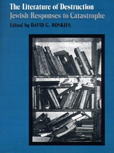 Cover for The Literature of Destruction