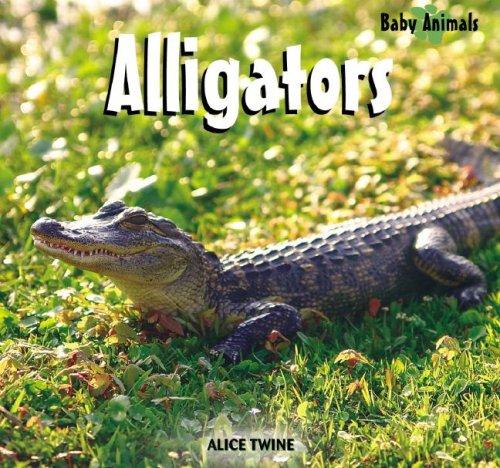 Cover for Alligators