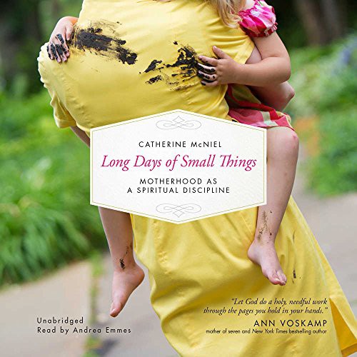 Cover for Long Days of Small Things Lib/E