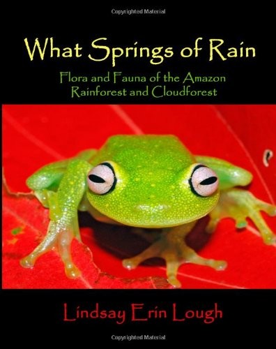 Cover for What Springs of Rain