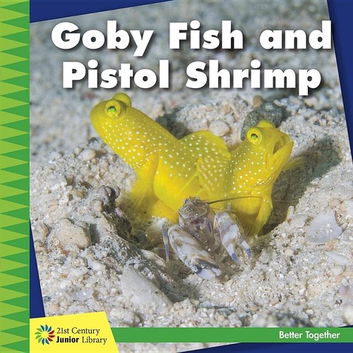 Cover for Goby fish and pistol shrimp
