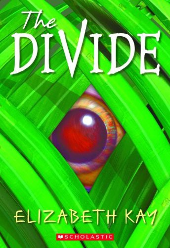 Cover for The Divide