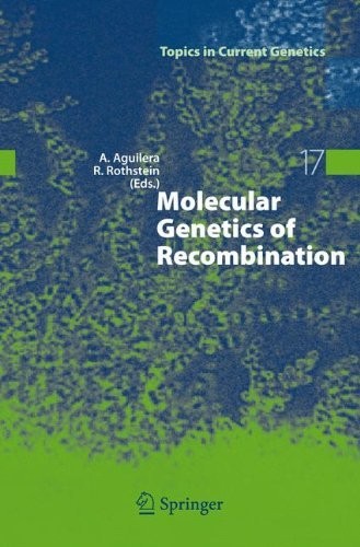 Cover for Molecular Genetics of Recombination (Topics in Current Genetics Book 17)