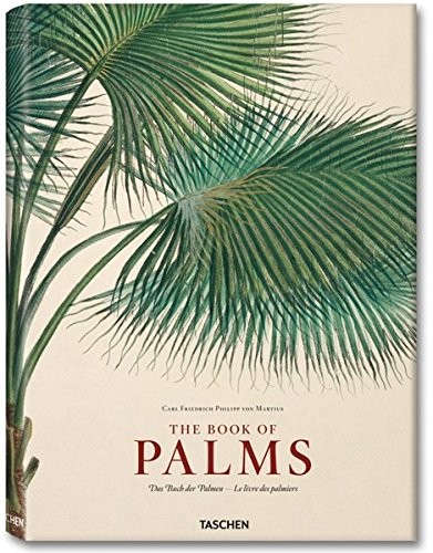 Cover for Martius: The Book of Palms