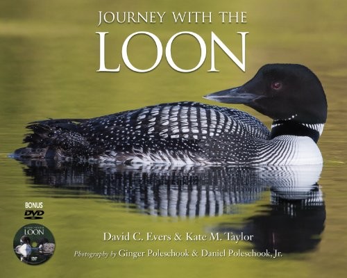 Cover for Journey With the Loon