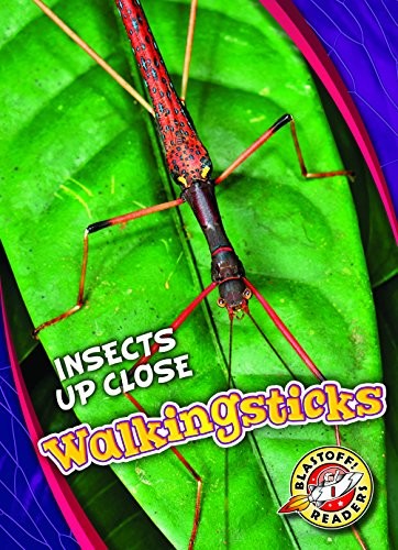 Cover for Walkingsticks