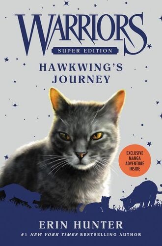 Cover for Hawkwing's journey