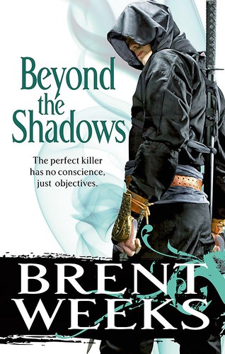 Cover for Beyond the Shadows