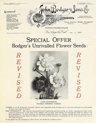 Cover for Bodger's unrivalled flower seeds
