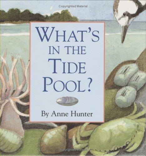 Cover for What's in the Tide Pool?