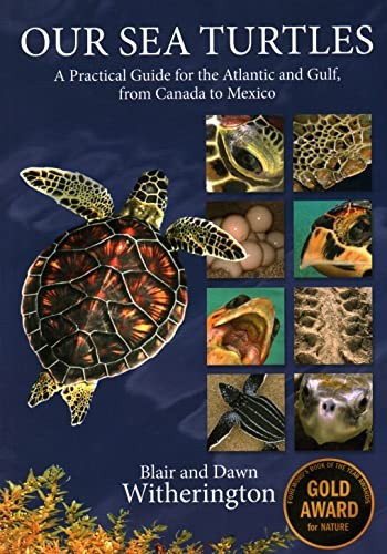 Cover for Our Sea Turtles