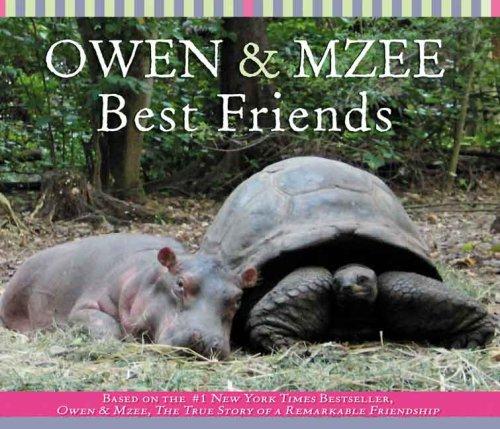 Cover for Best Friends (Owen And Mzee)