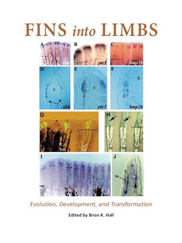 Cover for Fins into Limbs