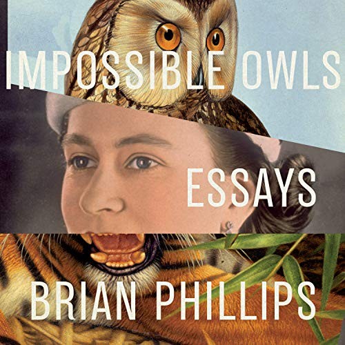 Cover for Impossible Owls