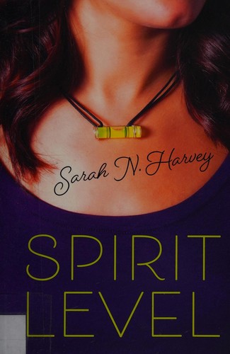 Cover for Spirit level
