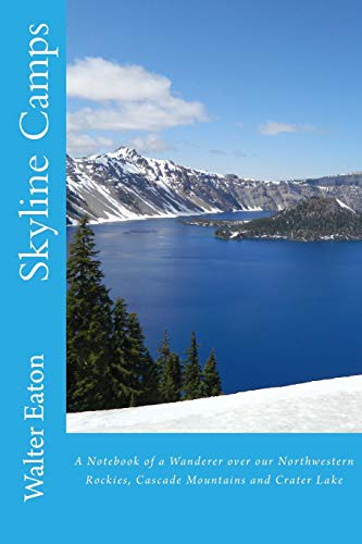 Cover for Skyline Camps