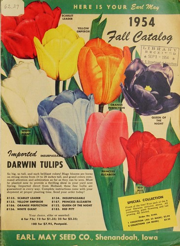 Cover for 1954 fall catalog