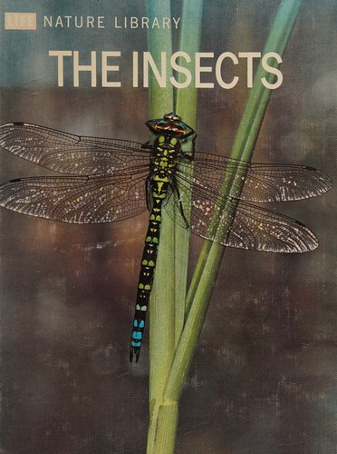 Cover for LIFE NATURE LIBRARY THE INSECTS