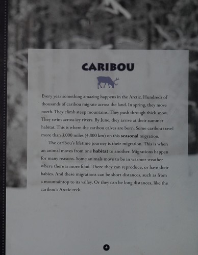Cover for Caribou migration