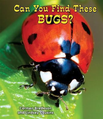 Cover for Can You Find These Bugs