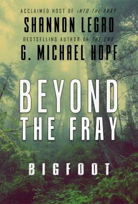 Cover for Beyond The Fray