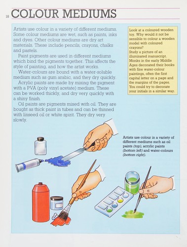 Cover for Colour (Science Through Art)