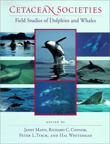 Cover for Cetacean Societies