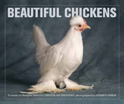 Cover for Beautiful Chickens