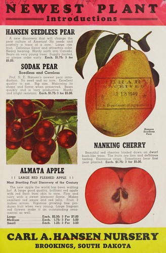 Cover for Newest plant introductions