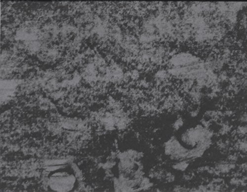 Cover for The possible
