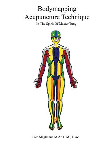 Cover for Bodymapping acupuncture technique