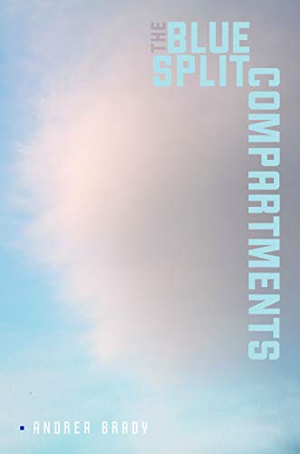 Cover for The Blue Split Compartments