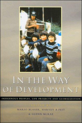 Cover for In the Way of Development