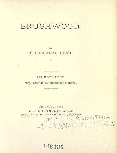 Cover for Brushwood