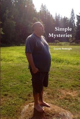 Cover for Simple Mysteries