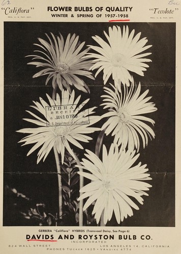 Cover for Flower bulbs of quality, "Califlora", "Tecolote"
