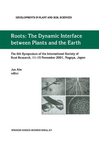 Cover for Roots