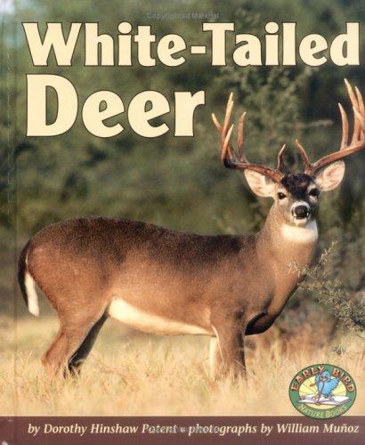 Cover for White-Tailed Deer (Early Bird Nature Books)